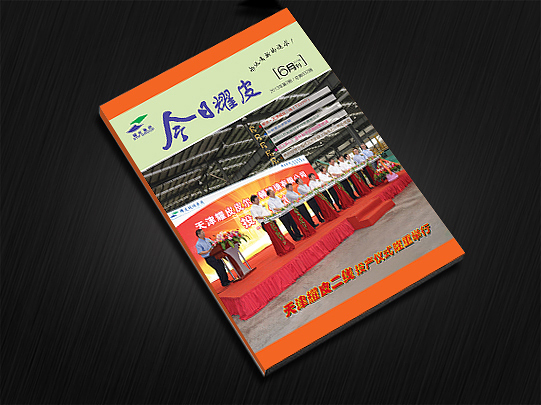 期刊設計